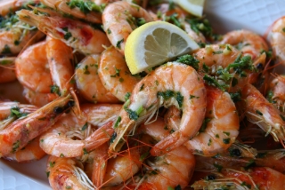 IMG 2599 Scampi 2
