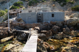 IMG 0692