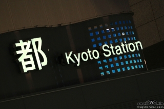 IMG 8666 L