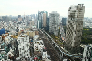 IMG 9881 L