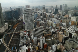 IMG 9967 L