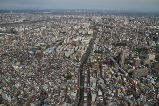 IMG 0431
