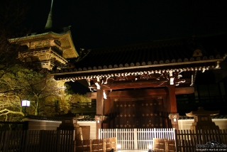 IMG 0755 L