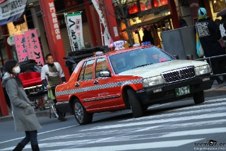 IMG 7627 L