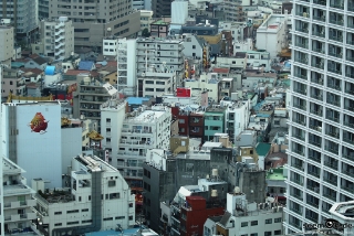 IMG 7876 L