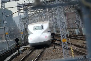 IMG 8577 L