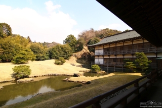 IMG 9323 L