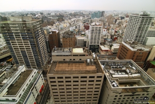IMG 9478 L