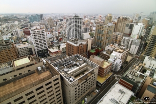 IMG 9481 L