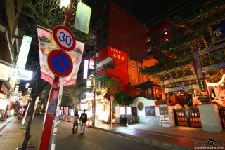 IMG 9641 L