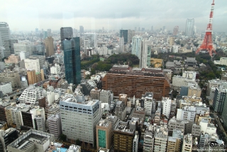 IMG 9935 L
